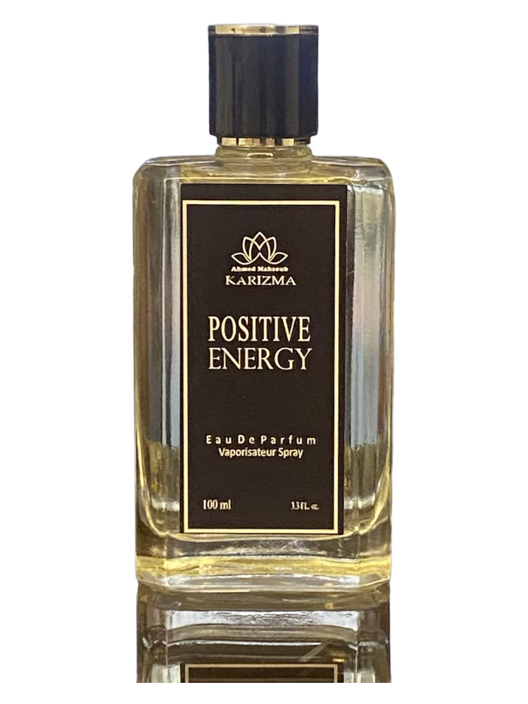 Ahmed Mahsoub KARIZMA Positive Energy
