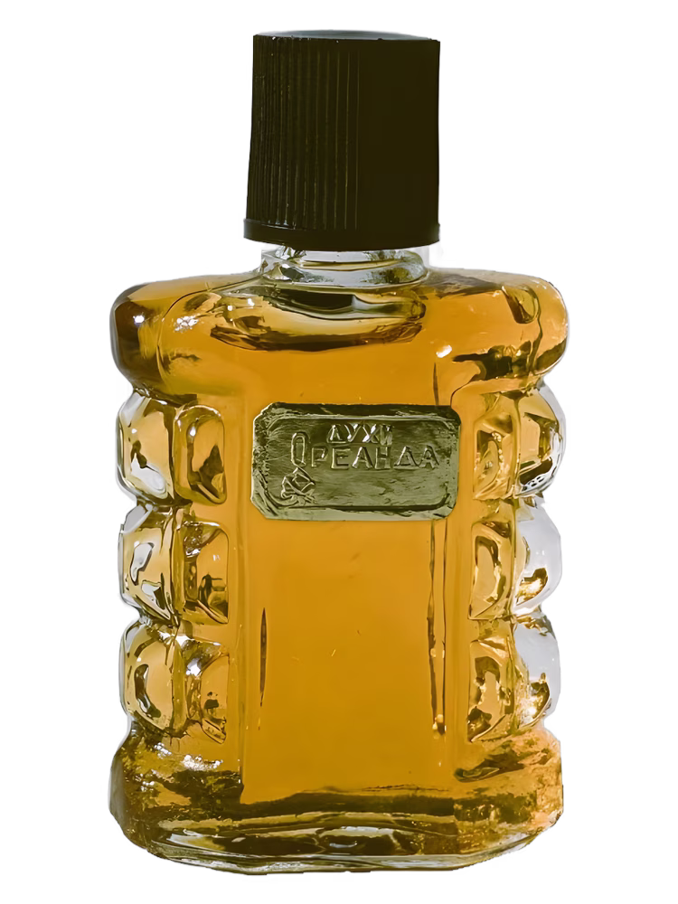 Crimean rose – Крымская роза Ореанда