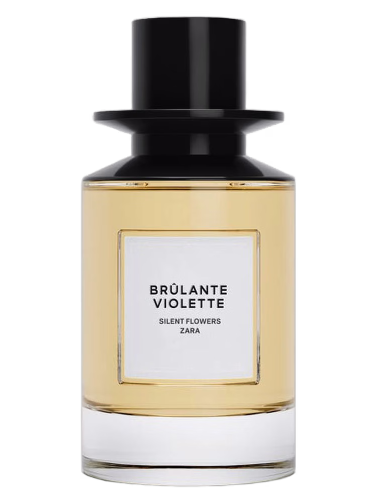 Zara Brulante Violette