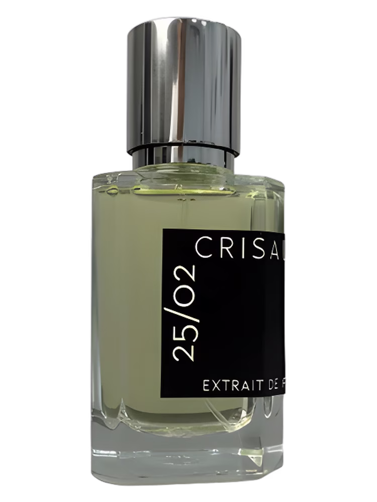 Crisalide 25/02