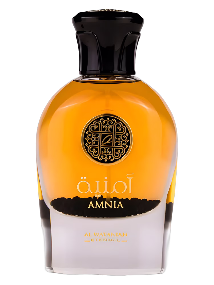 Al Wataniah Amnia