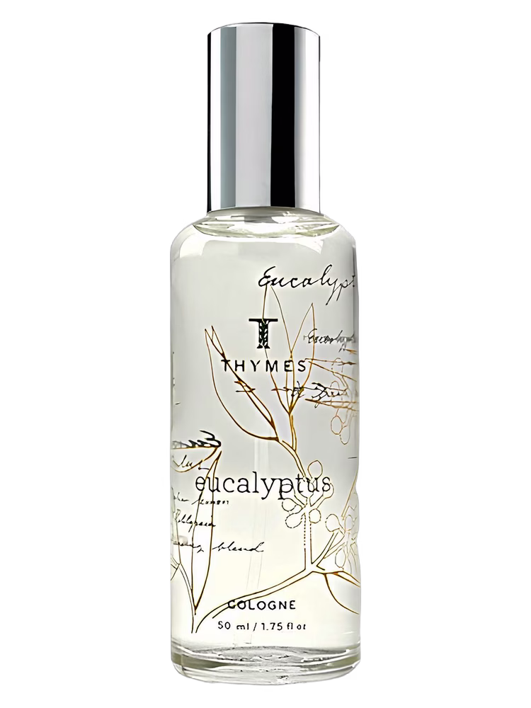 Thymes Eucalyptus