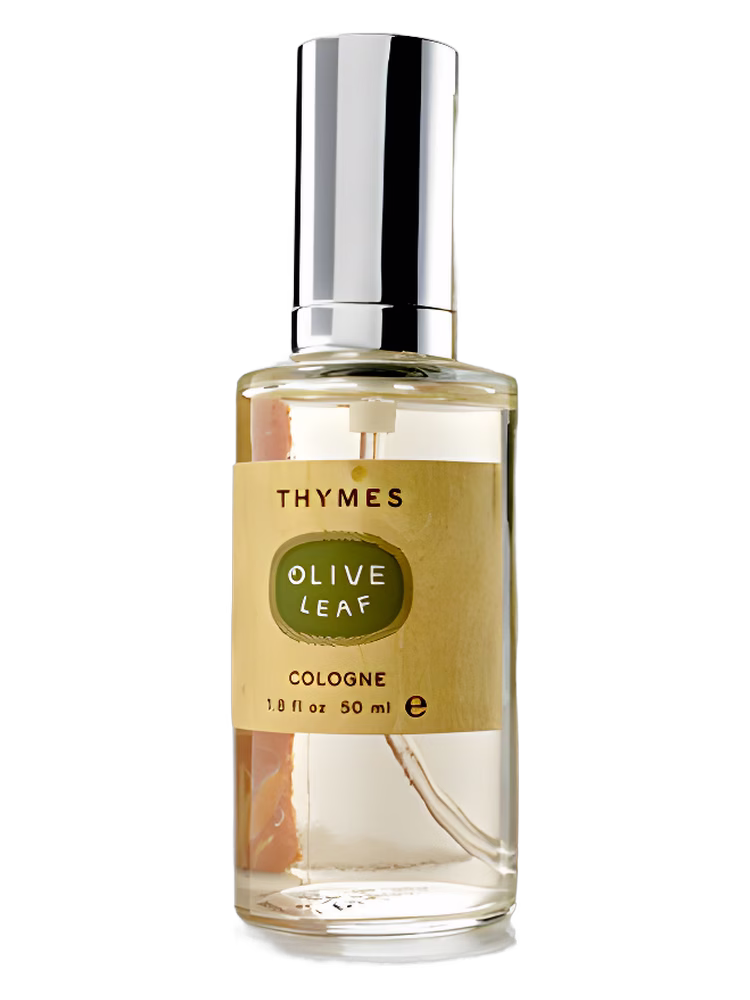 Thymes Olive Leaf