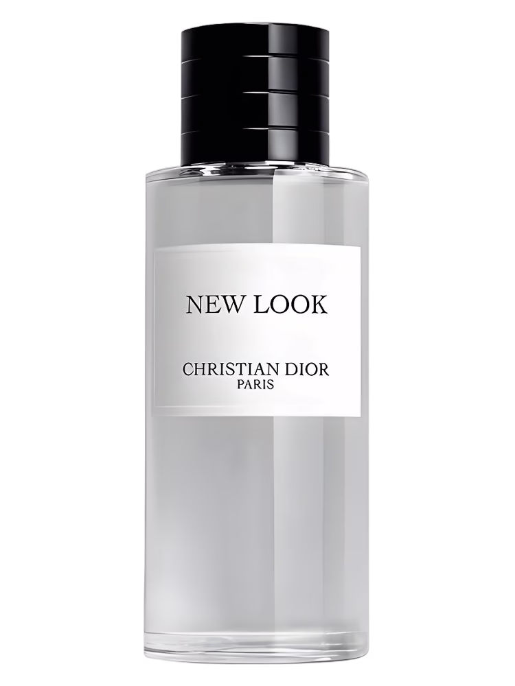 Dior New Look 2024