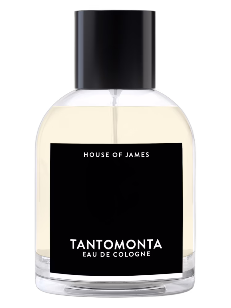 House Of James Tantomonta