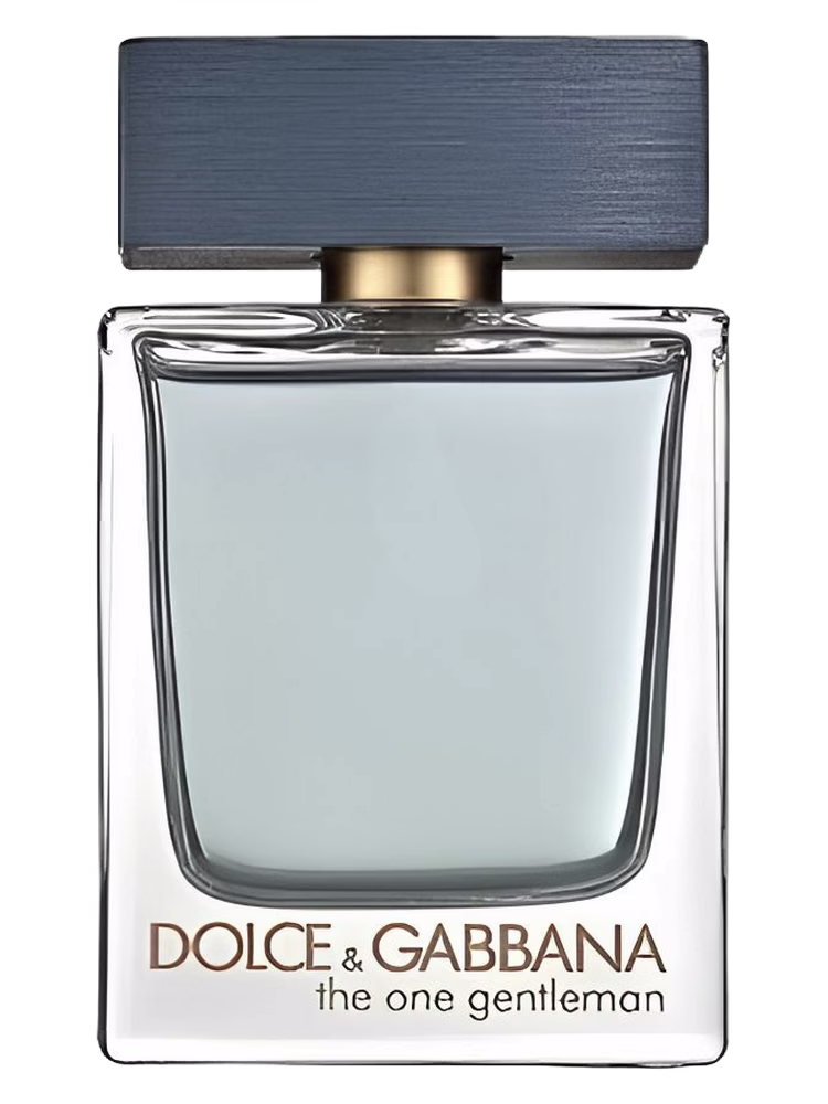 Dolce&Gabbana The One Gentleman