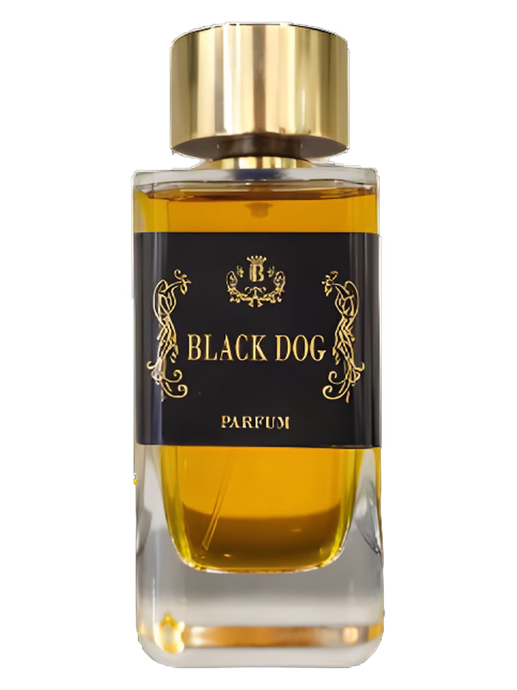 Enrico Buccella Black Dog