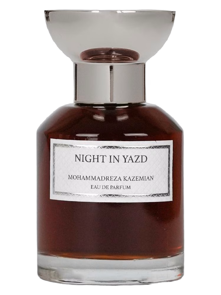 Mohammadreza Kazemian Night in Yazd
