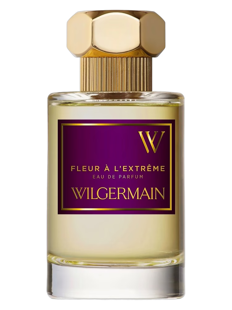 Wilgermain Fleur à l'Extrême