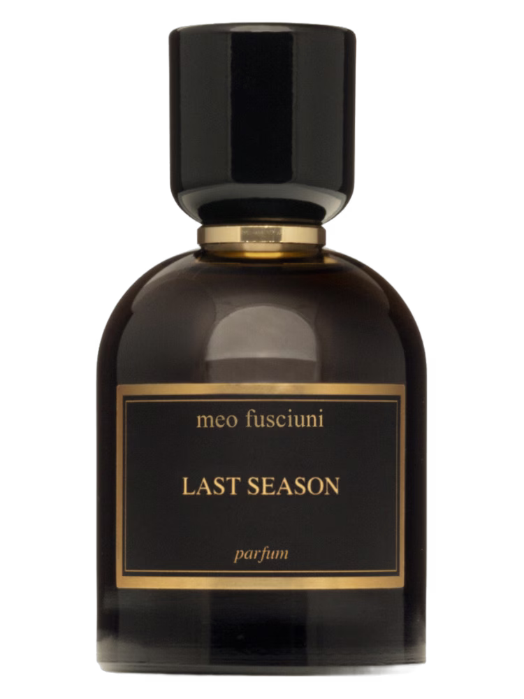 Meo Fusciuni Last Season
