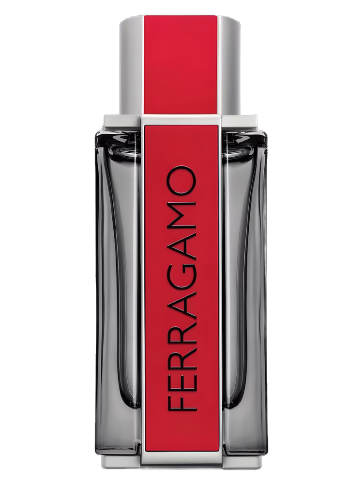 Salvatore Ferragamo Ferragamo Red Leather