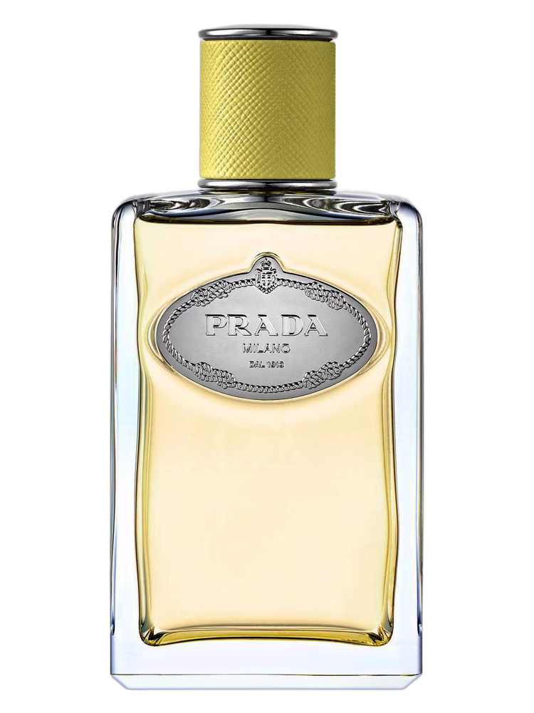 Prada Infusion de Gingembre