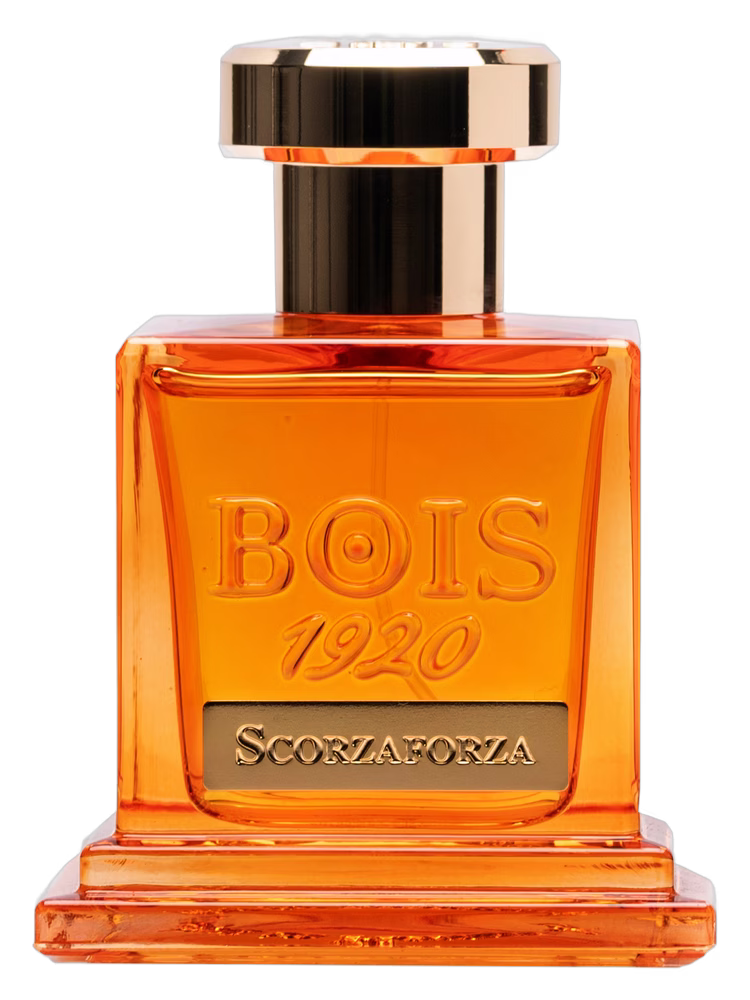 Bois 1920 Scorzaforza