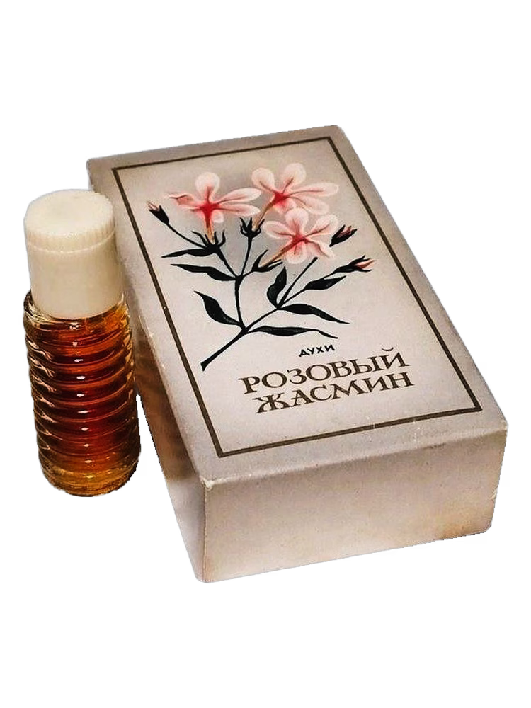 Сувенир (Краснодар) Розовый жасмин (Pink Jasmine)