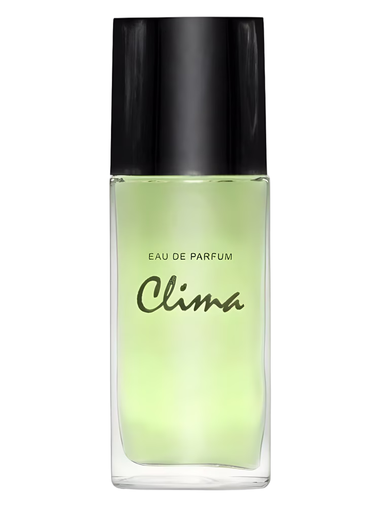 Новая Заря (The New Dawn) Clima