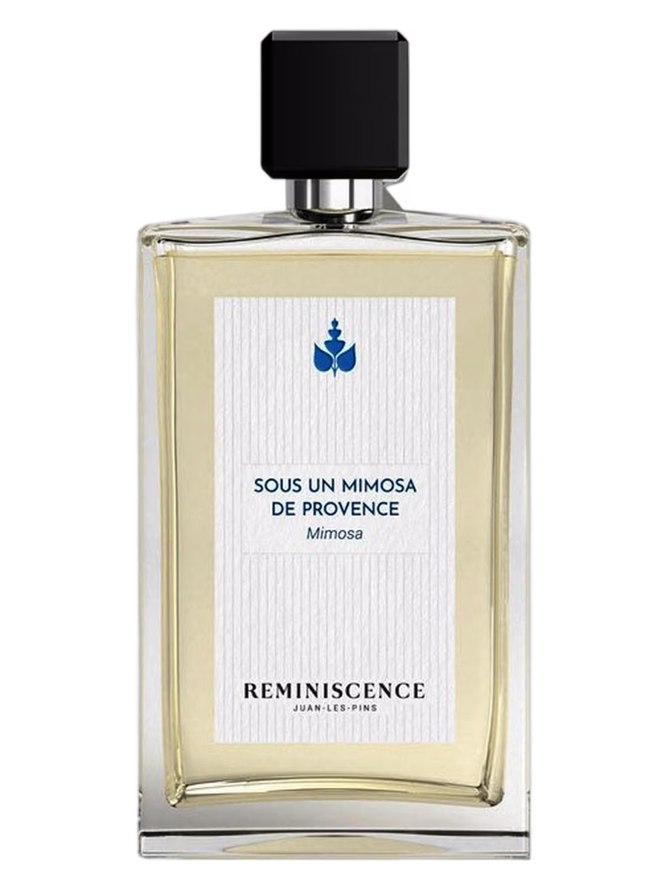 Reminiscence Sous un Mimosa de Provence