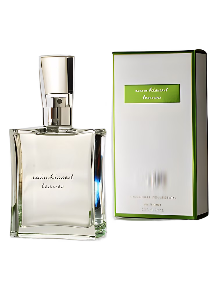 Bath & Body Works Rainkissed Leaves