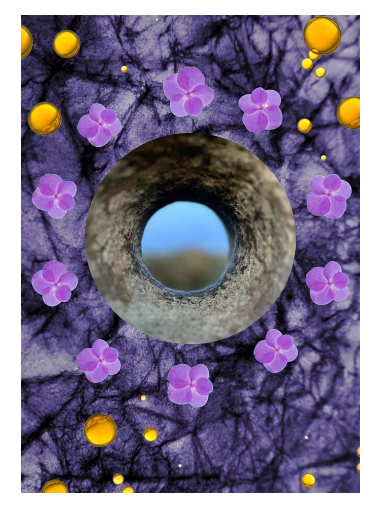 ånd fragrances Crown Of Violets