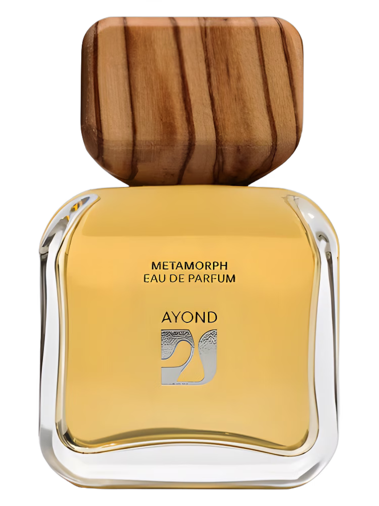Ayond Metamorph
