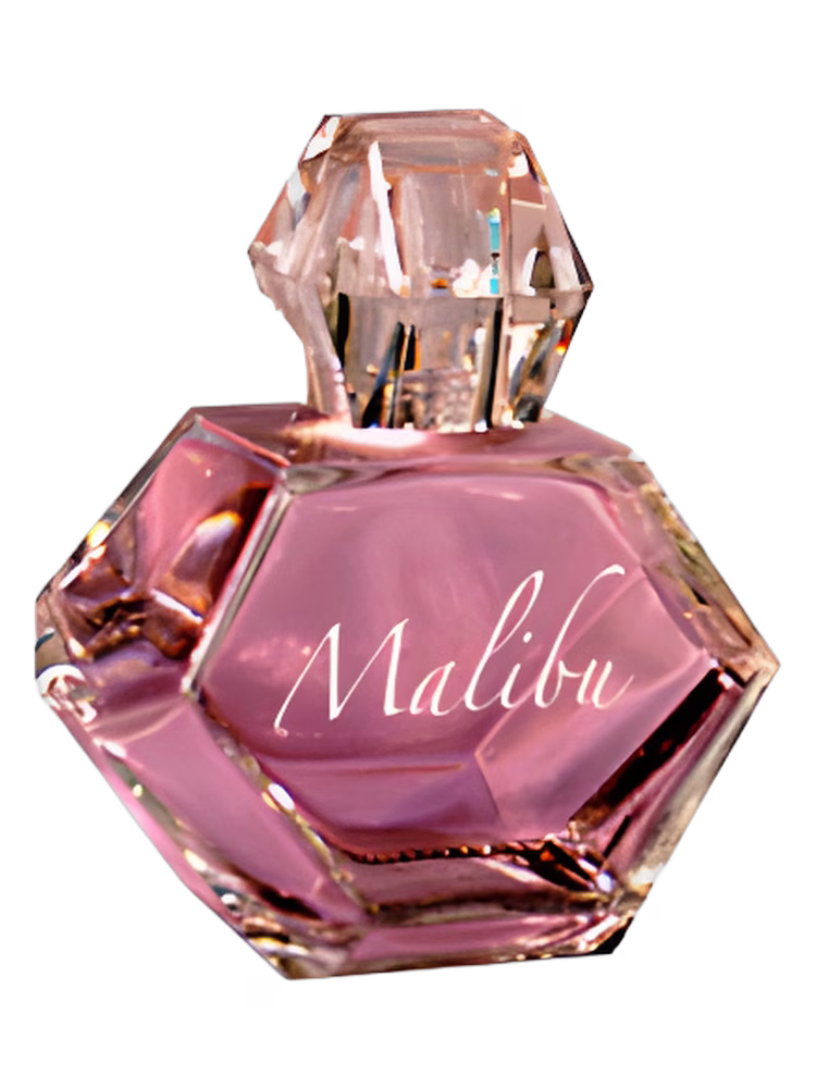 Pamela Anderson Malibu Night