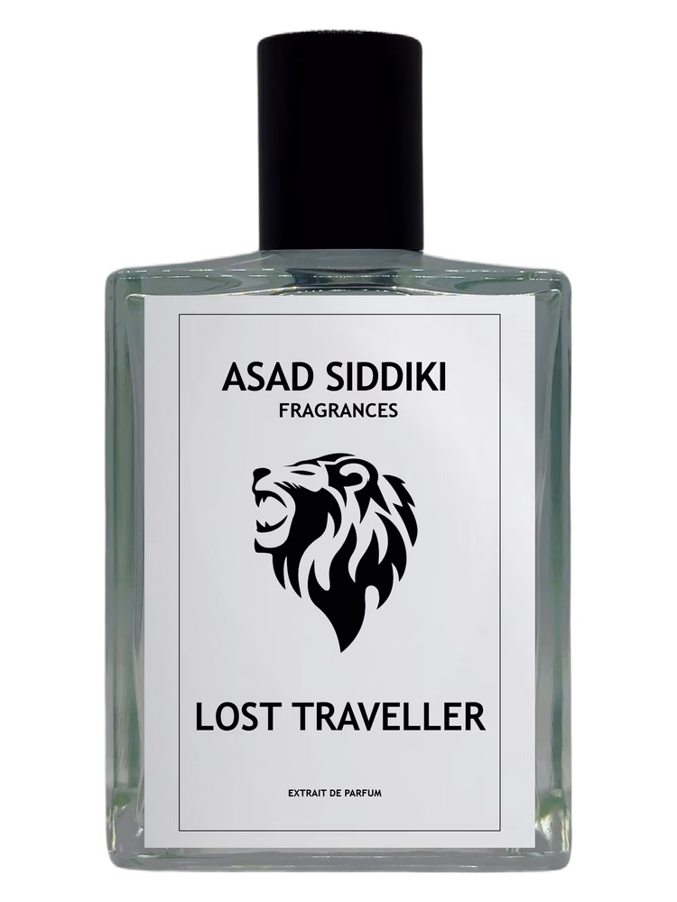 Asad Siddiki Lost Traveller