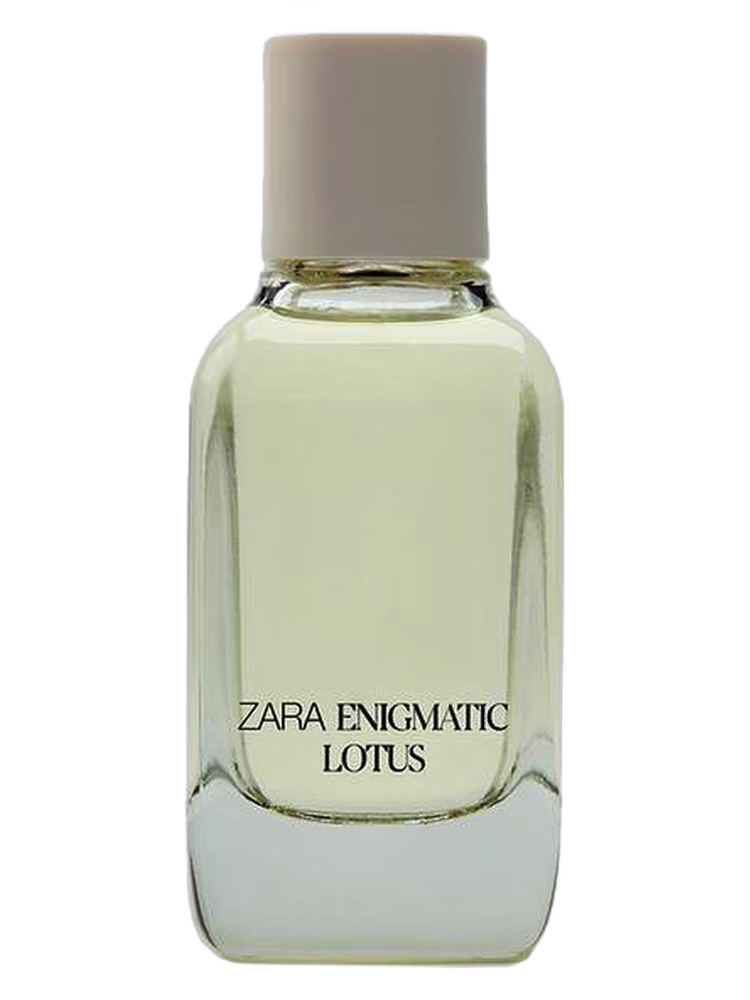 Zara Enigmatic Lotus