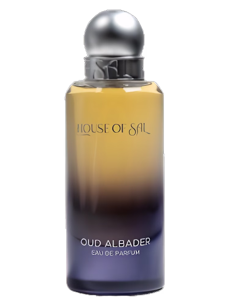 House of Sal Oud Al Badr