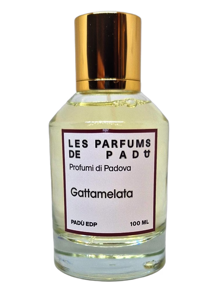 Padù Gattamelata