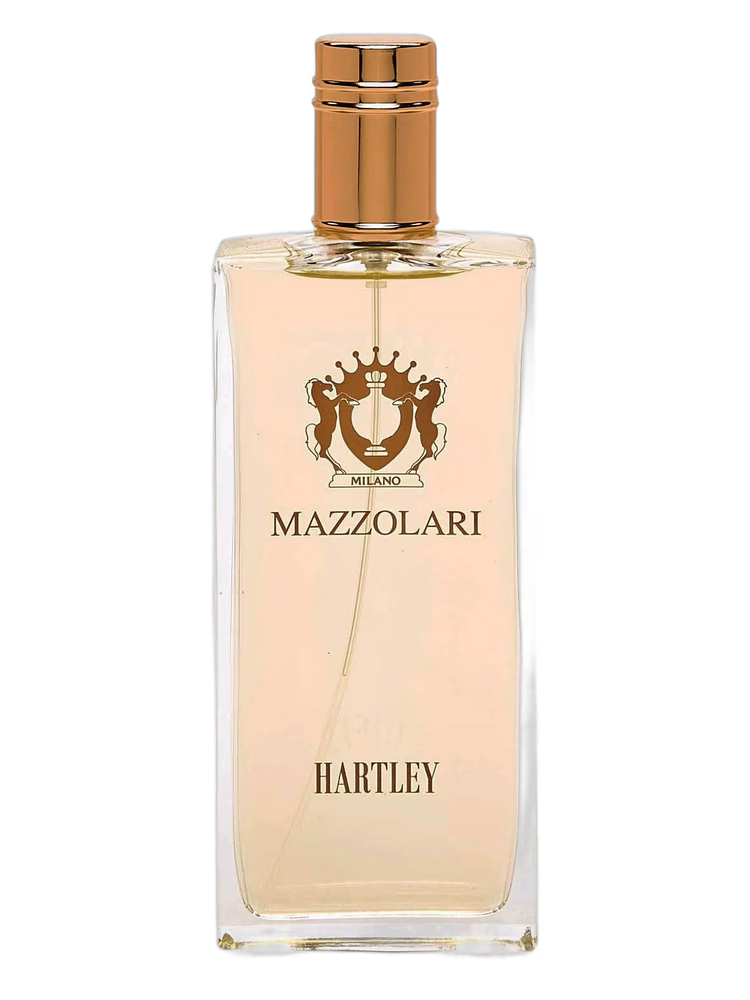 Mazzolari Hartley