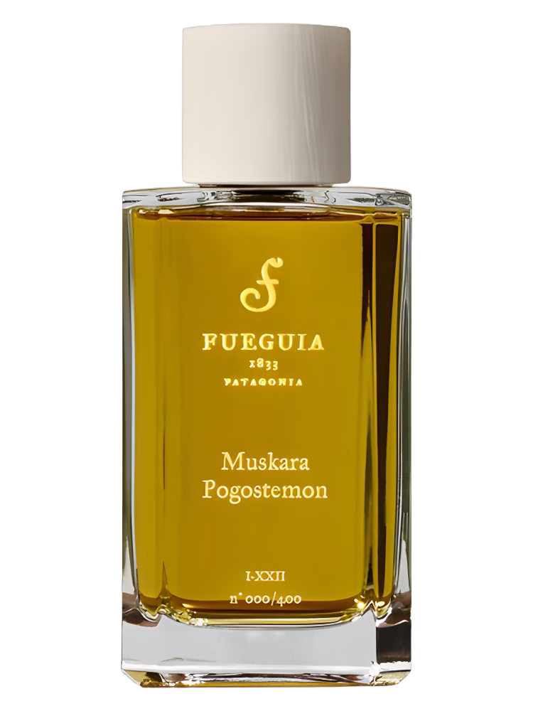 Fueguia 1833 Muskara Pogostemon