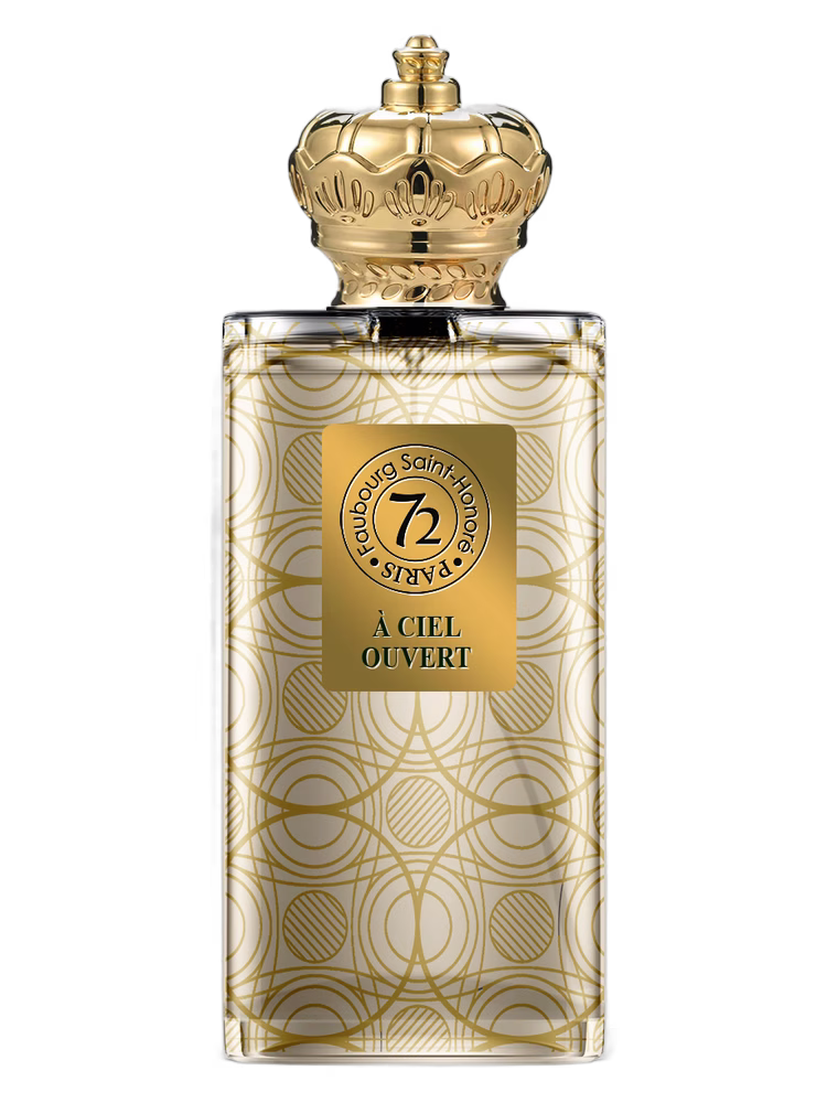 72 Faubourg Saint-Honoré À CIEL OUVERT