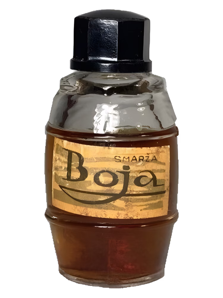 Dzintars Boja (Буй)