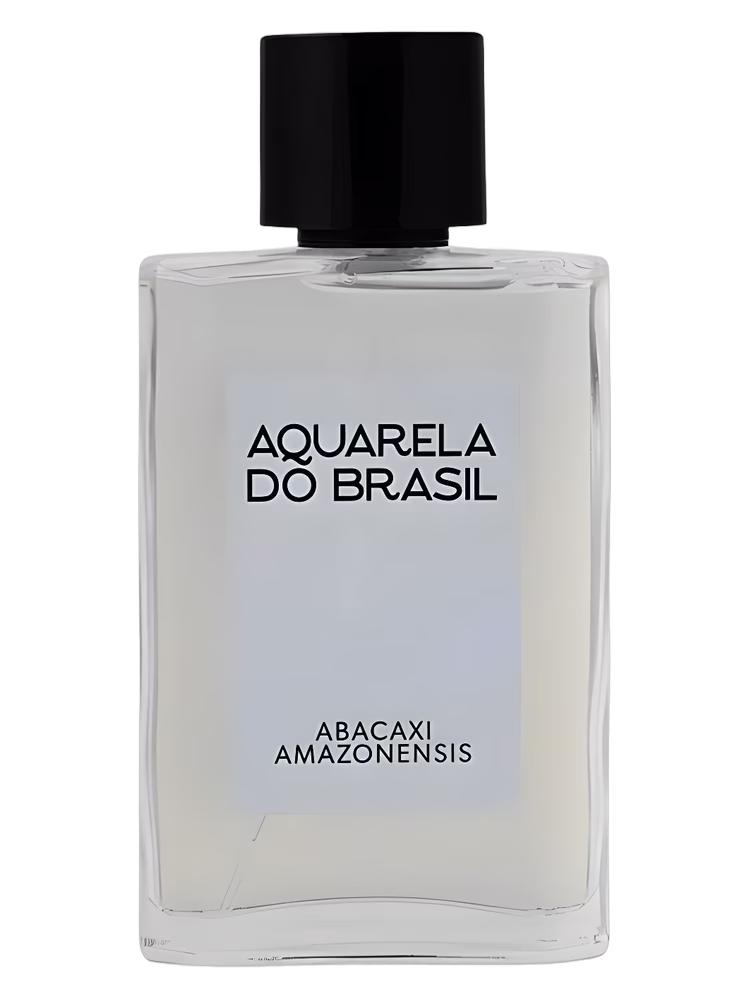 Aquarela do Brasil Abacaxi Amazonensis