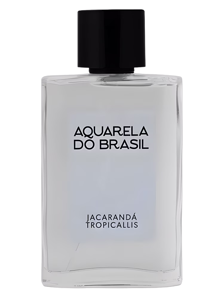 Aquarela do Brasil Jacarandá Tropicallis