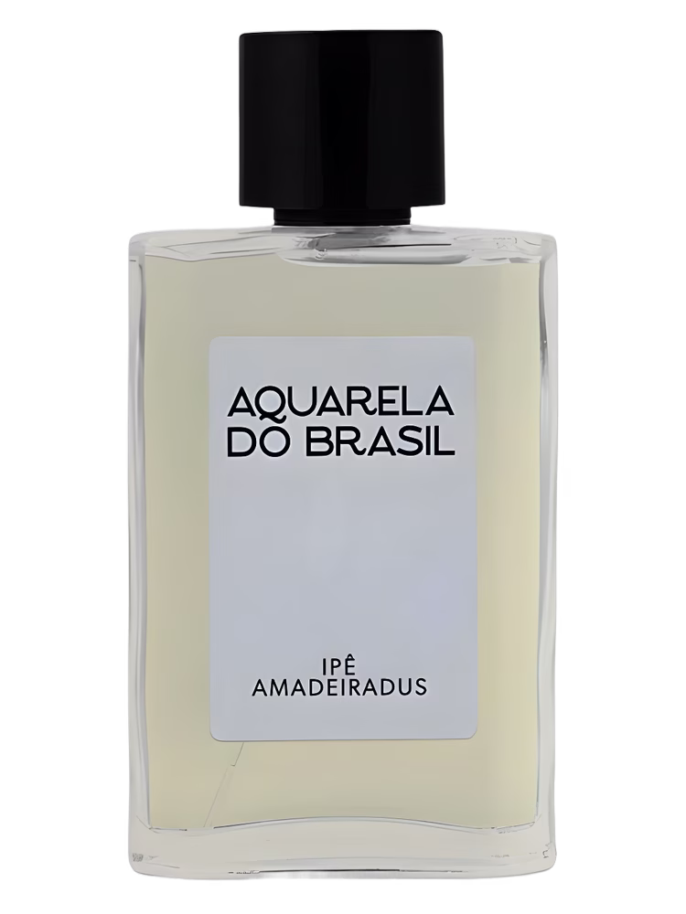 Aquarela do Brasil Ipê Amadeiradus