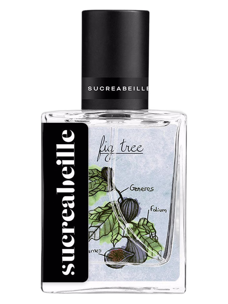 Sucreabeille Fig Tree