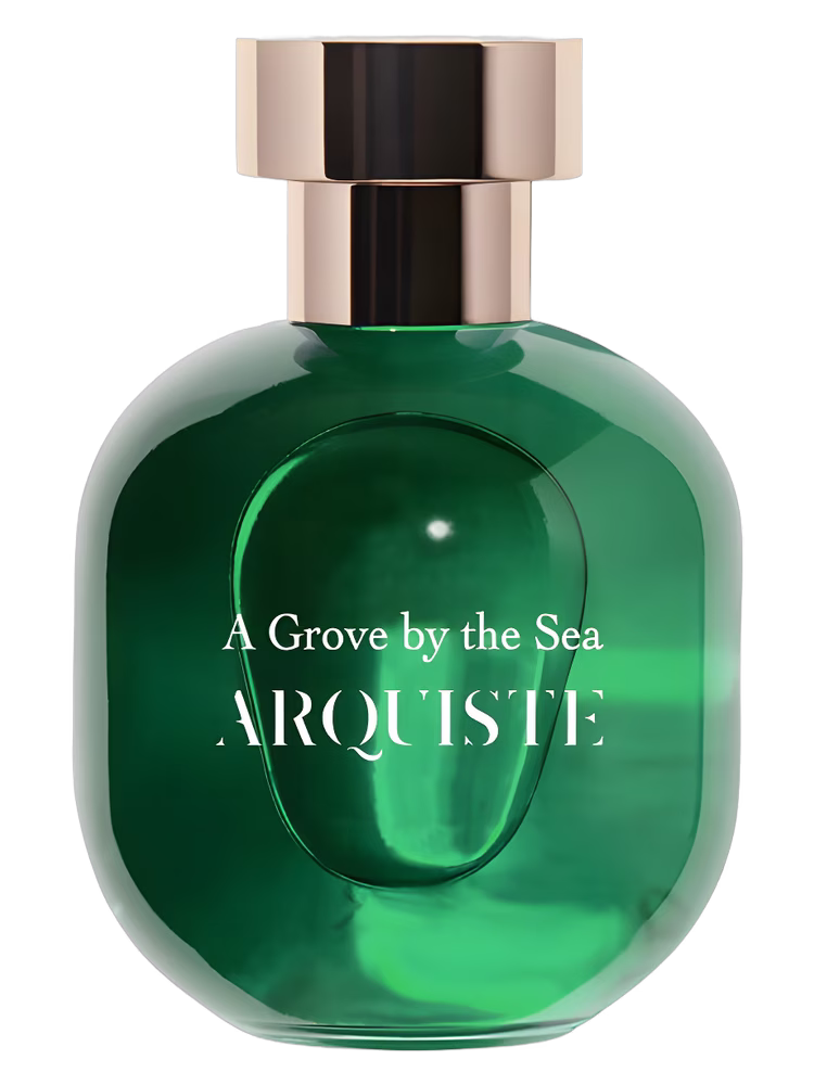 Arquiste A Grove by The Sea