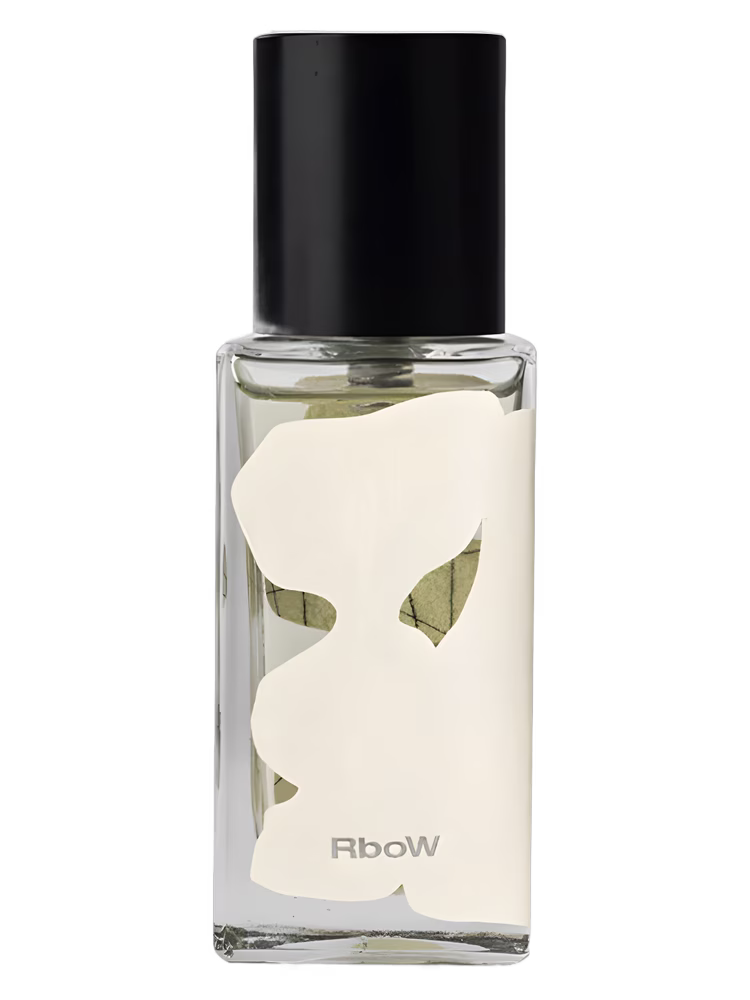 RboW Case Study #12 Dance and Balance
