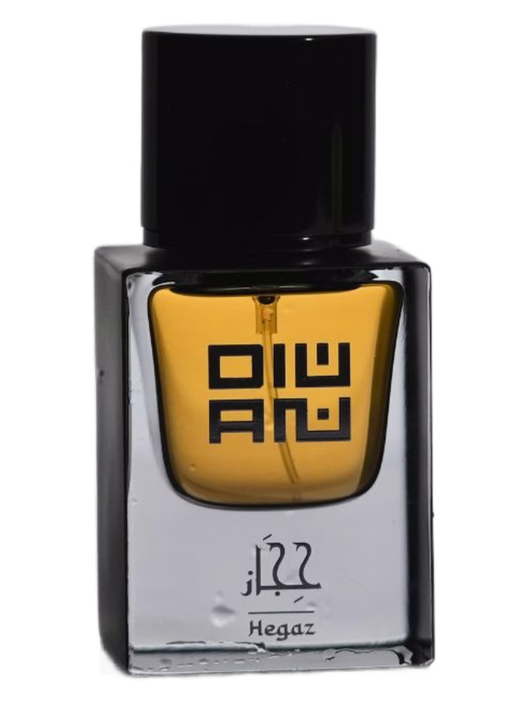 DIWAN HEGAZ