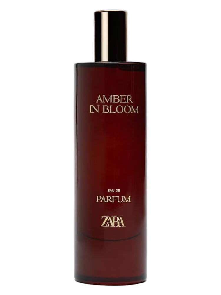 Zara Amber In Bloom