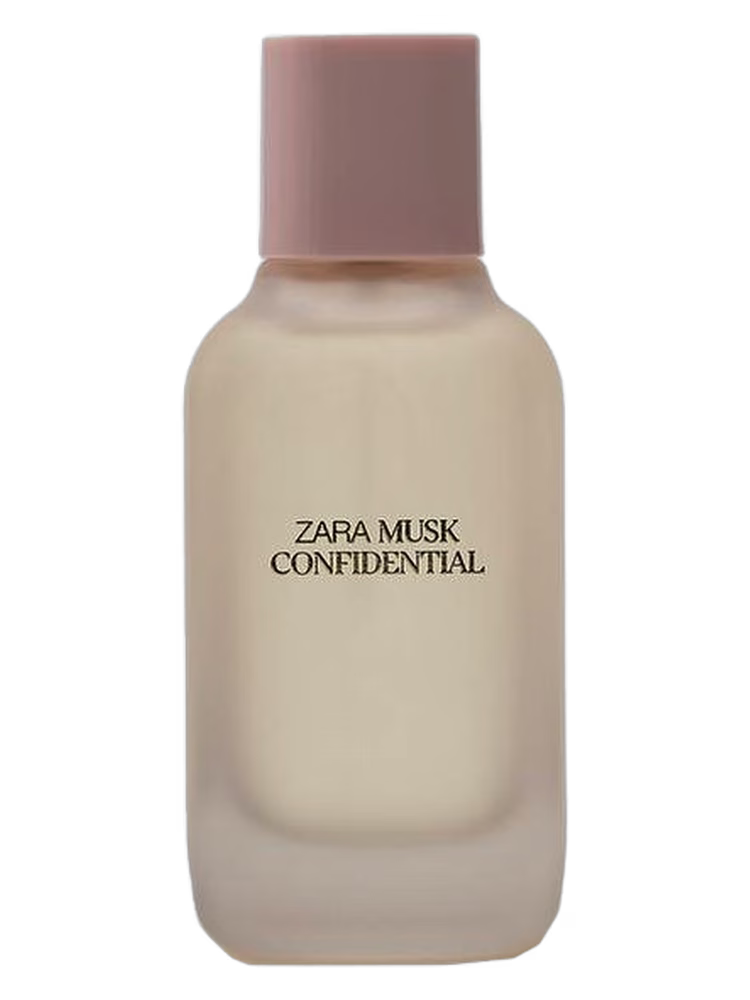 Zara Musk Confidential