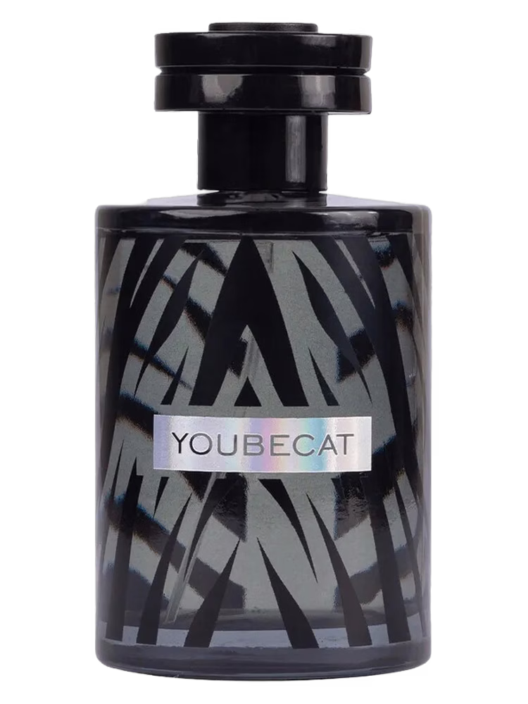 Paxfun Youbecat