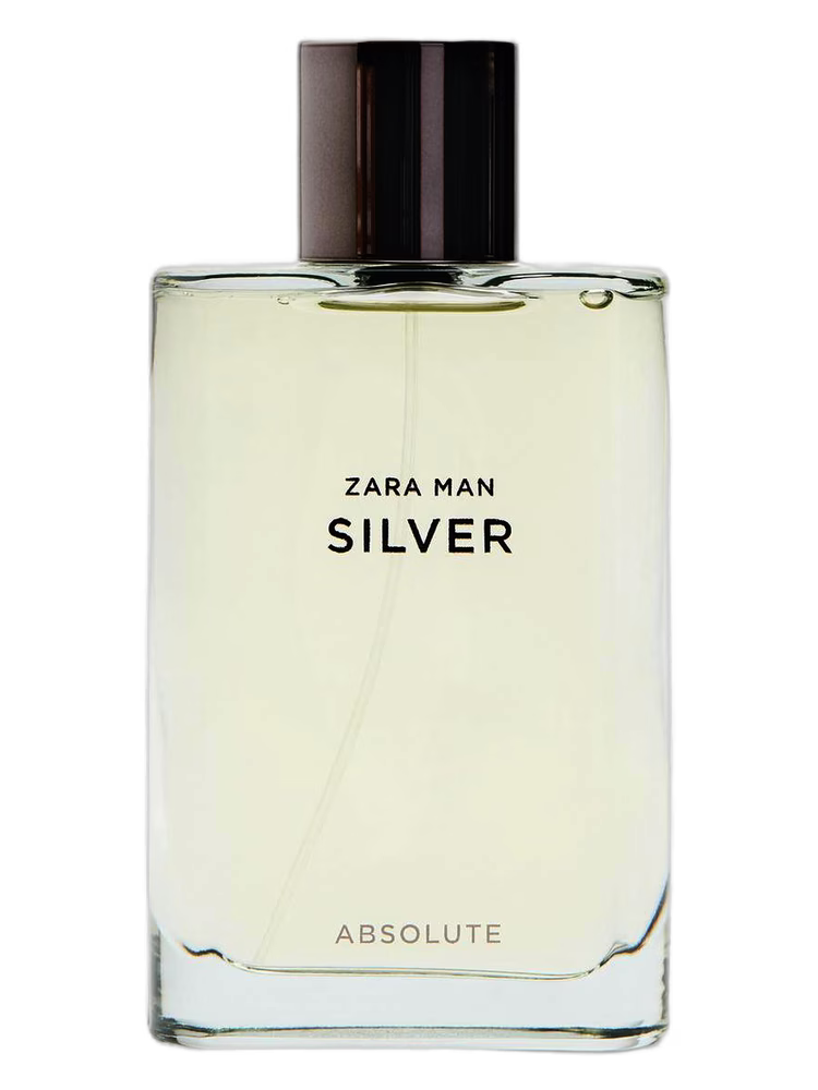 Zara Silver Absolute