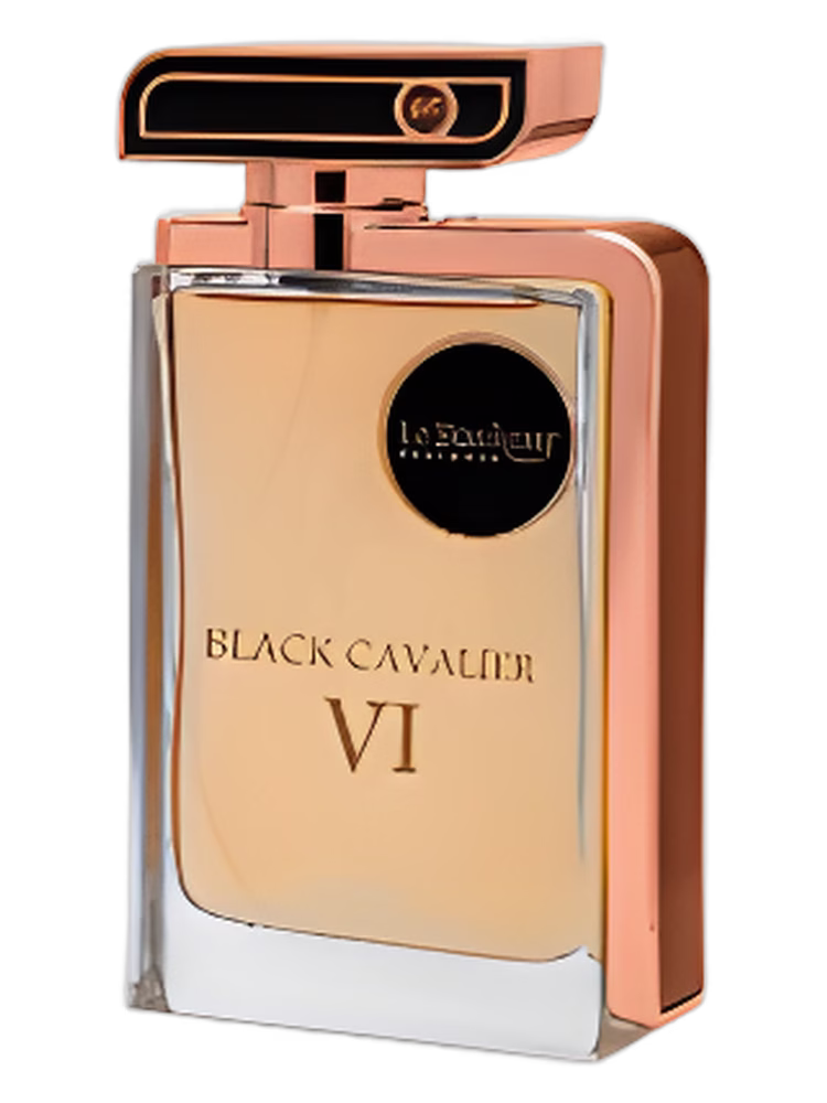 Le Bonheur Perfumes Black Cavalier VI