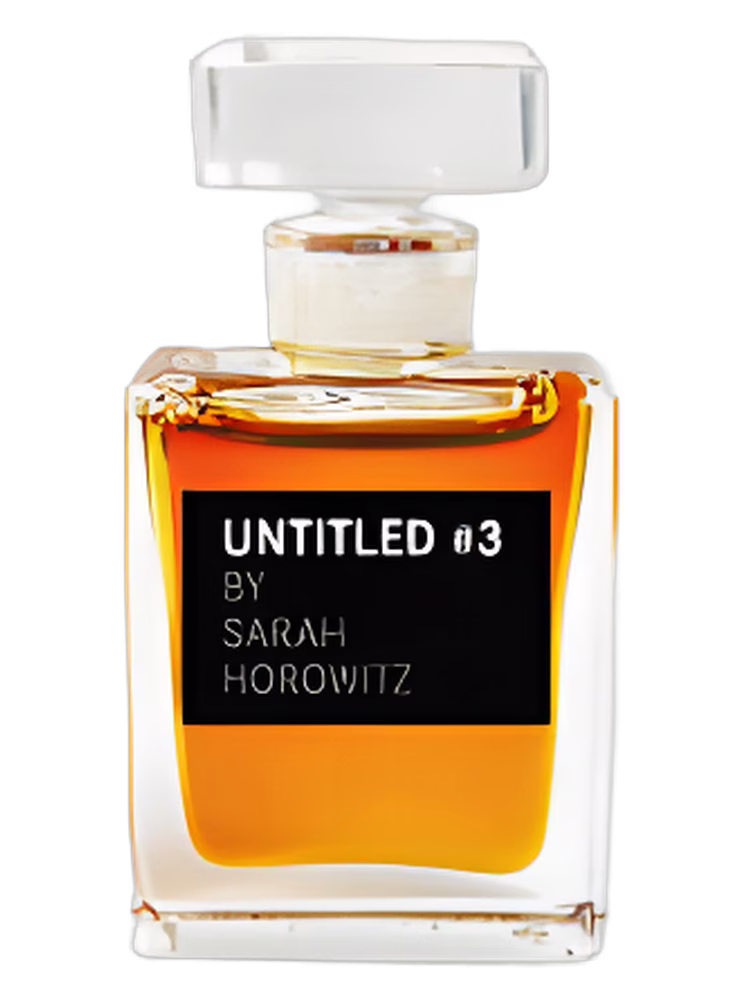 UNTITLED UNTITLED No. 3 by Sarah Horowitz