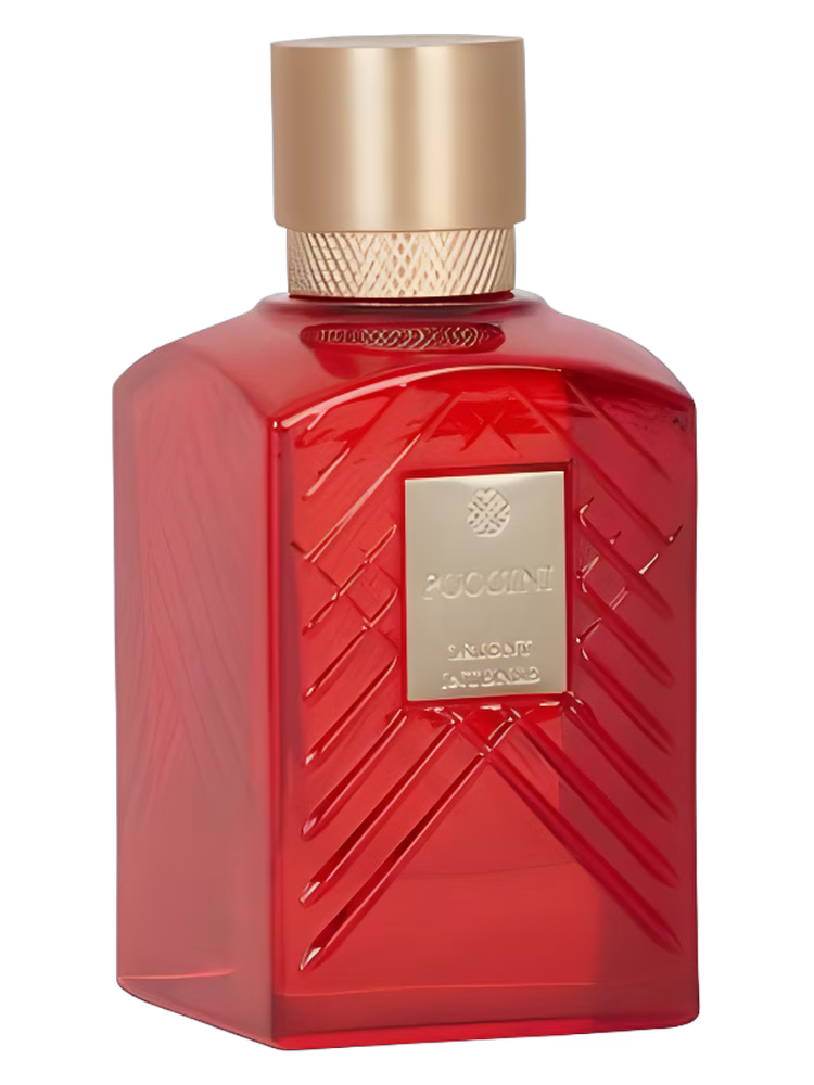 Puccini Paris Orient Intense