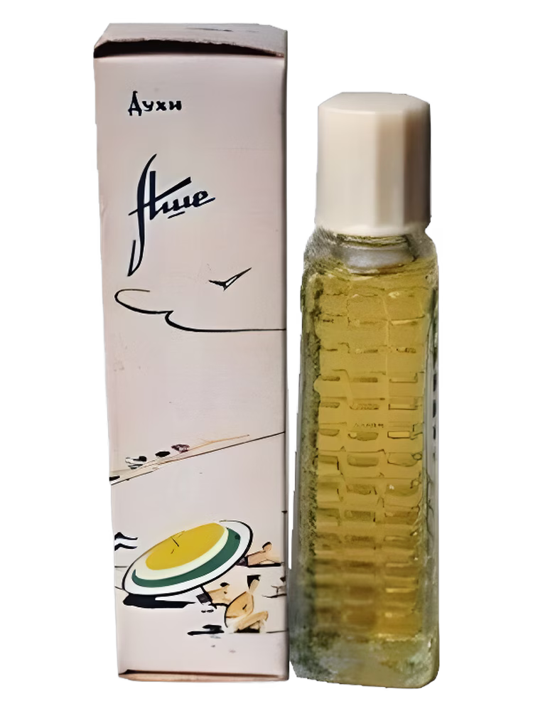 Сувенир (Краснодар) Аше