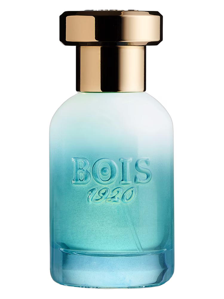 Bois 1920 Marasma