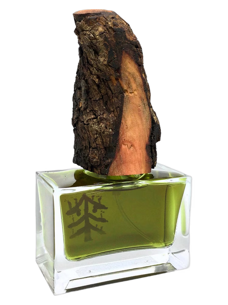 Bibi Bigler The Tree