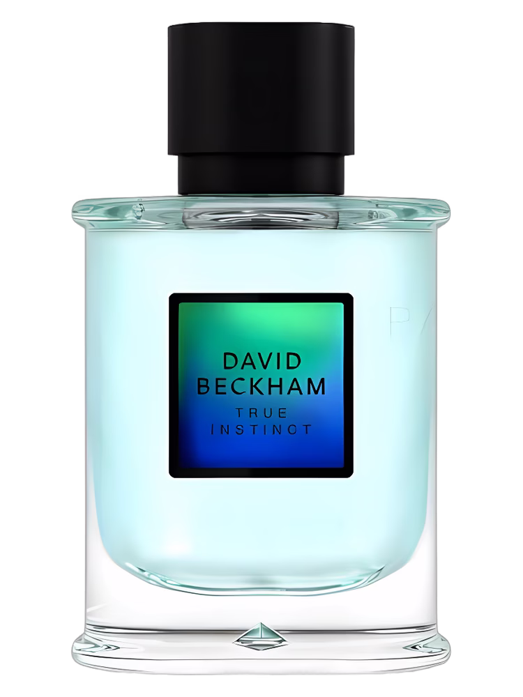 David Beckham David Beckham True Instinct
